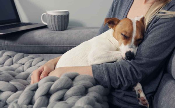dog sleeping in a woman's arms